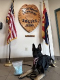 K-9 Echo with Narcotics